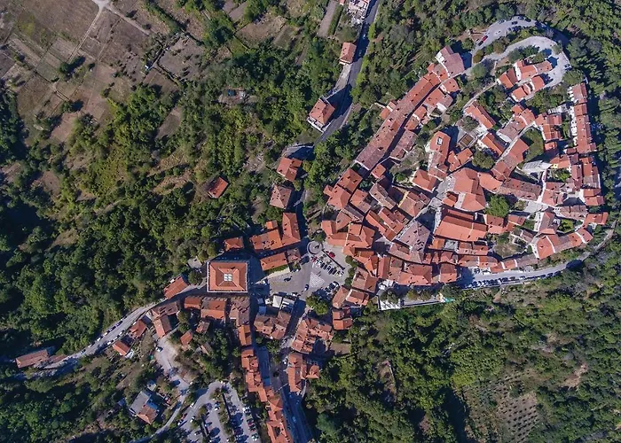 Amazing In With Wifi Apartament